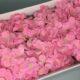 Гортензия из мыла - 900 Цвет: розовый