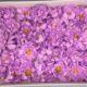 Хризантемы из мыла - 1 200 Цвет: сиреневый